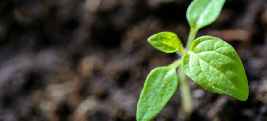 Car‑2‑Europe, acteur d'une mobilité plus responsable